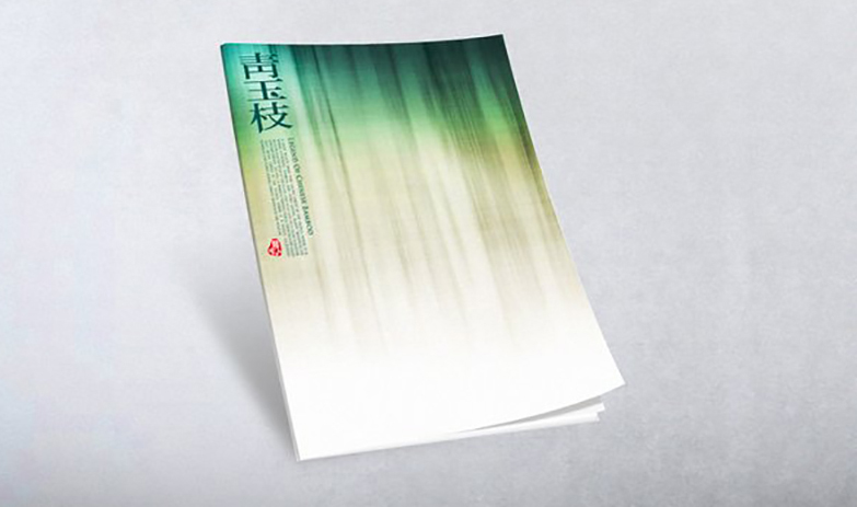 簡潔大氣的中國風畫冊設計