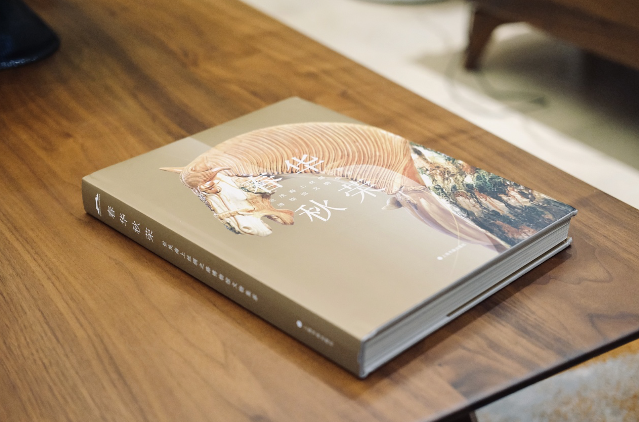 传统元素宣传画册设计